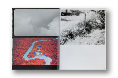 Richard Mosse, Broken Spectre