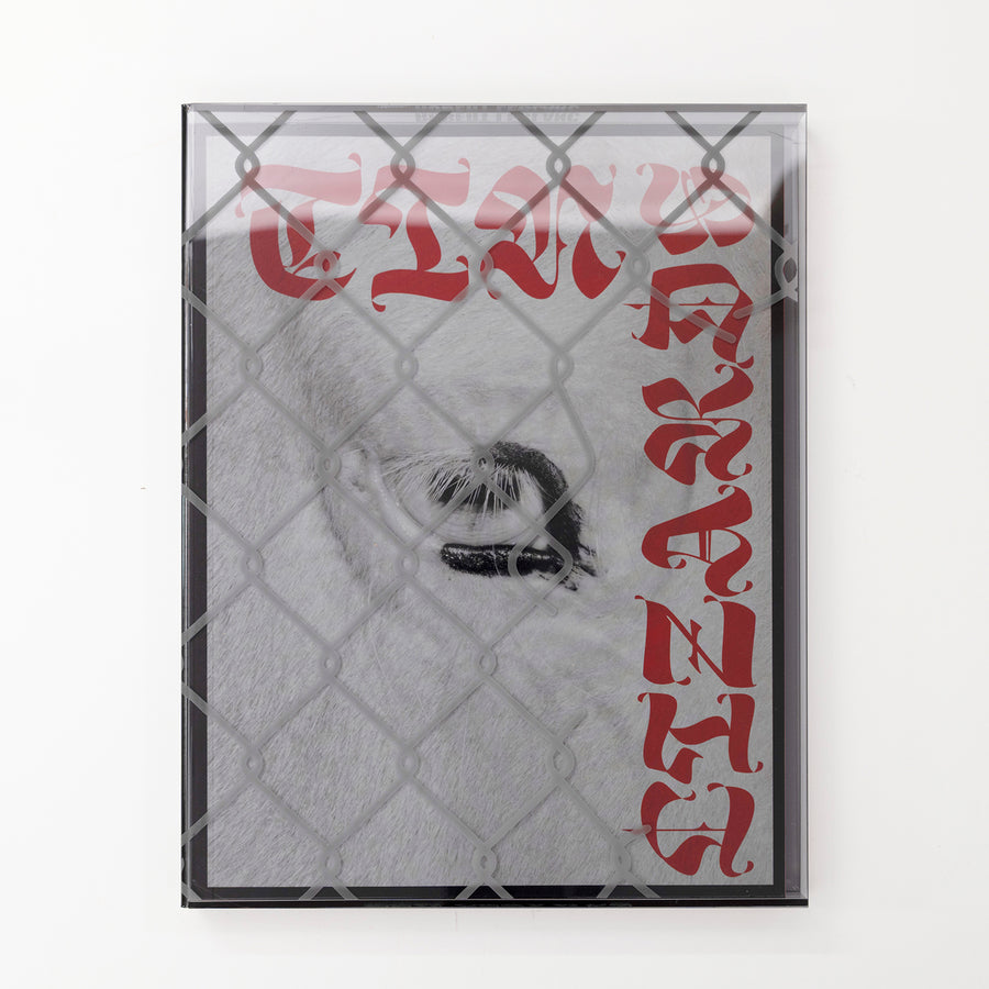 Robert LeBlanc, Tin Lizards