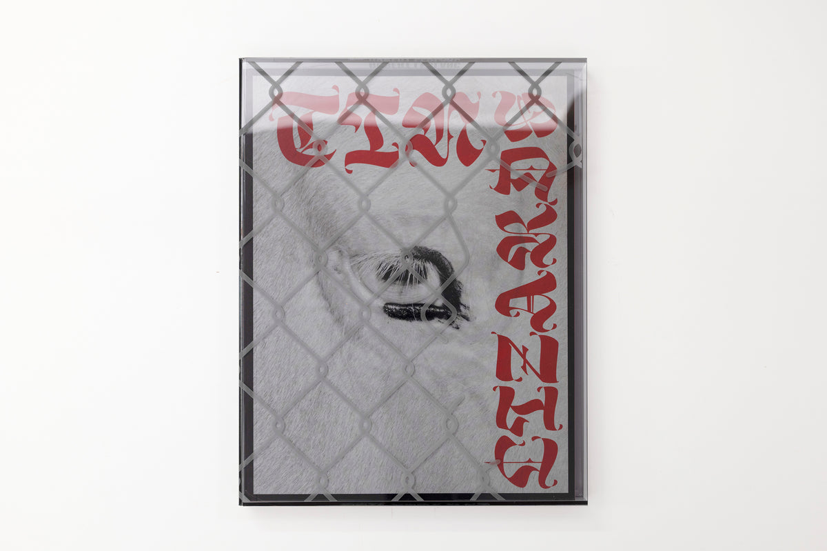Robert LeBlanc, Tin Lizards