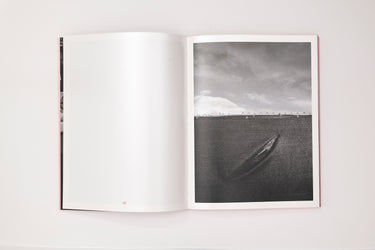 Robert LeBlanc, Tin Lizards