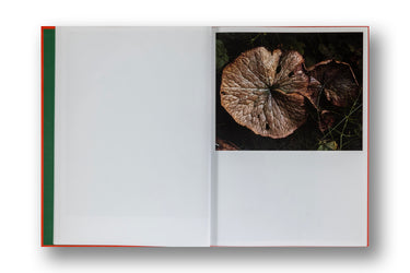 Thomas Rousset, Prabe_rians
