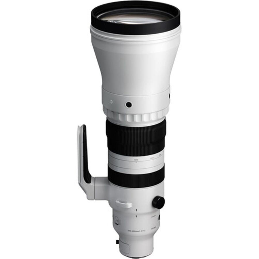 Sigma 300-600mm f4 DG OS Sports