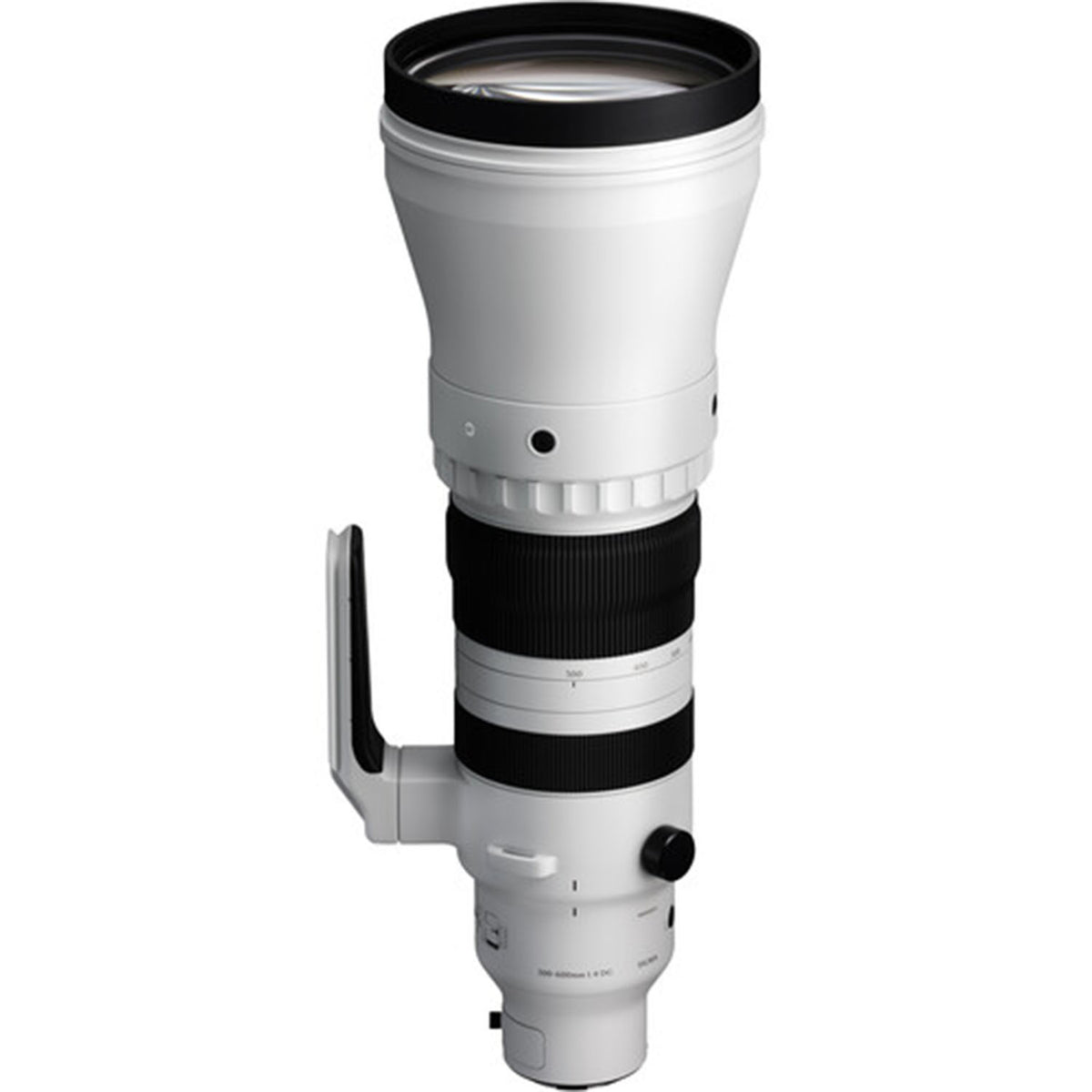 Sigma 300-600mm f4 DG OS Sports