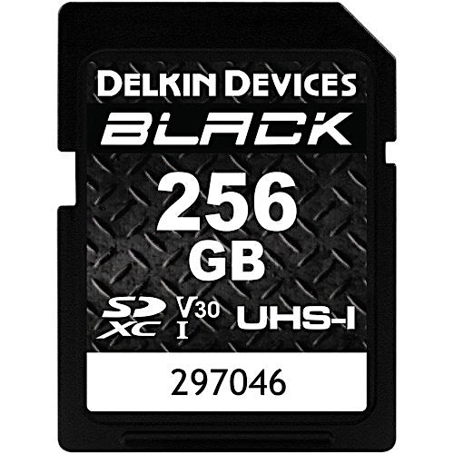 Delkin 256GB SD UHS-I Black