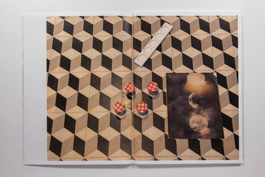 Roe Ethridge - Zine 321