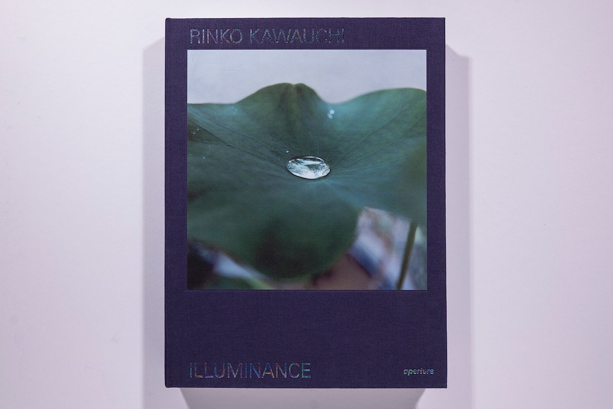 Rinko Kauwuchi - Illuminance