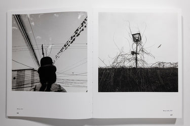 Graciela Iturbide: Heliotropo 37