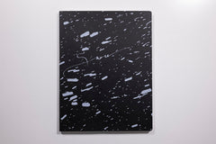 Vanessa Winship, Snow