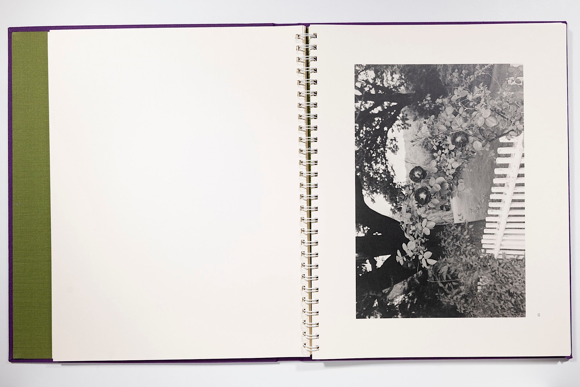 Lee Friedlander Flowers and Trees Camera West