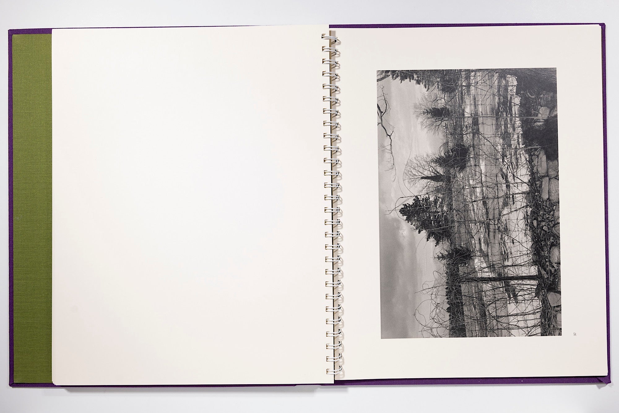 Lee Friedlander Flowers and Trees Camera West