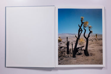 Gregory Halpern - Zzyzx