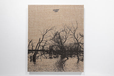 Ian Bates, Meadowlark
