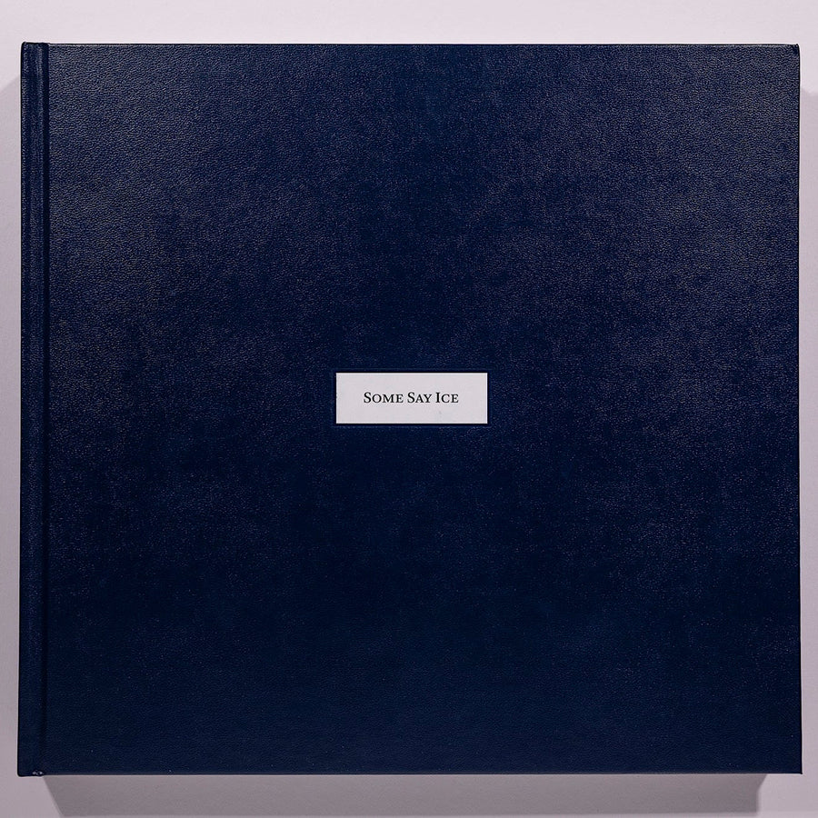 Alessandra Sanguinetti, Some Say Ice, Unsigned