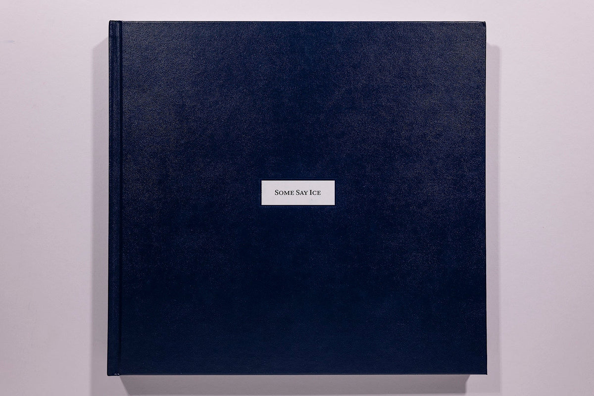 Alessandra Sanguinetti, Some Say Ice, Unsigned