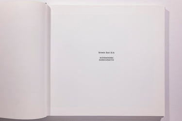 Alessandra Sanguinetti - Some Say Ice