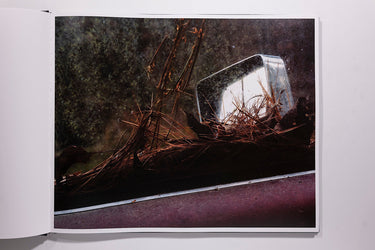 Phil Jung - Windscreen
