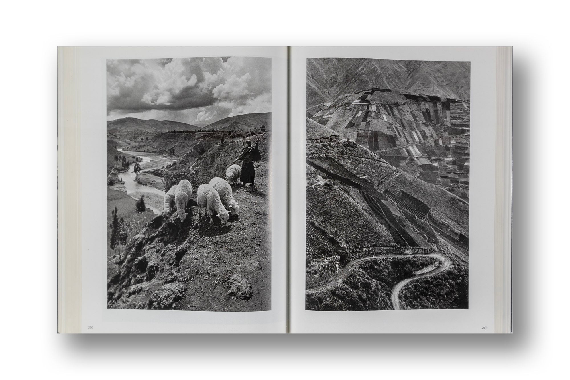 Sebastião Salgado, Migrations – Camera West