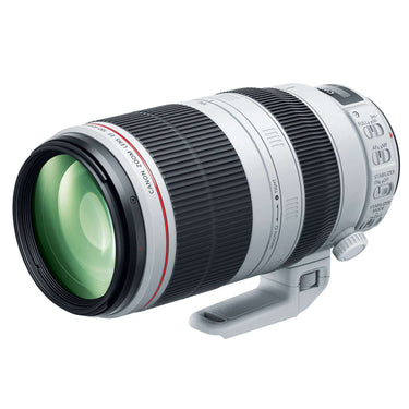 Canon 100-400mm f4.5-5.6L IS II