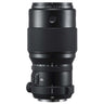 Fujifilm GF 250mm f4.0 R LM OIS WR