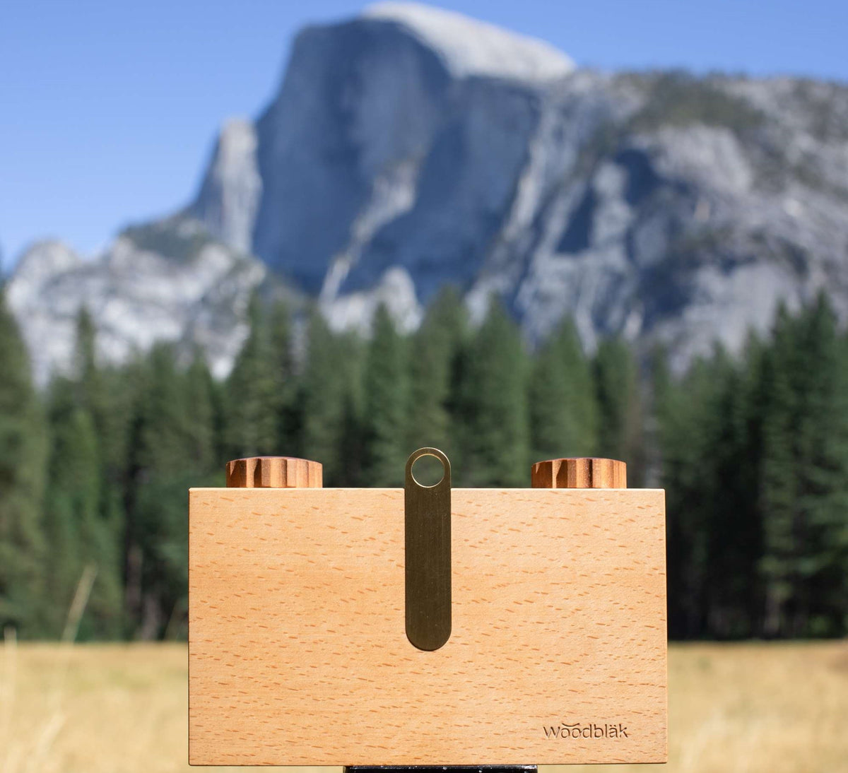 Woodblak 66 Pinhole Camera