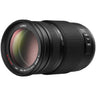 Panasonic 100-300mm f4-5.6 ASPH lens