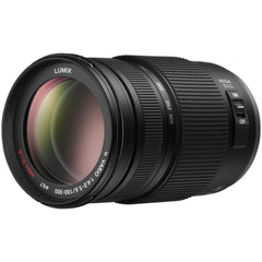 Panasonic 100-300mm f4-5.6 ASPH lens