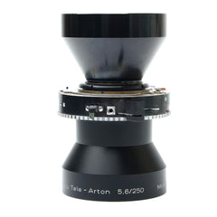 Schneider 250mm f5.6 Tele Arton Linhof CLA 13933849 (9+)